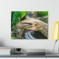 thumbnail image 3 of Anaconda Front Side View Anaconda Dangerous Outside Wall Art Ready To Hang Unframed, 3 of 18