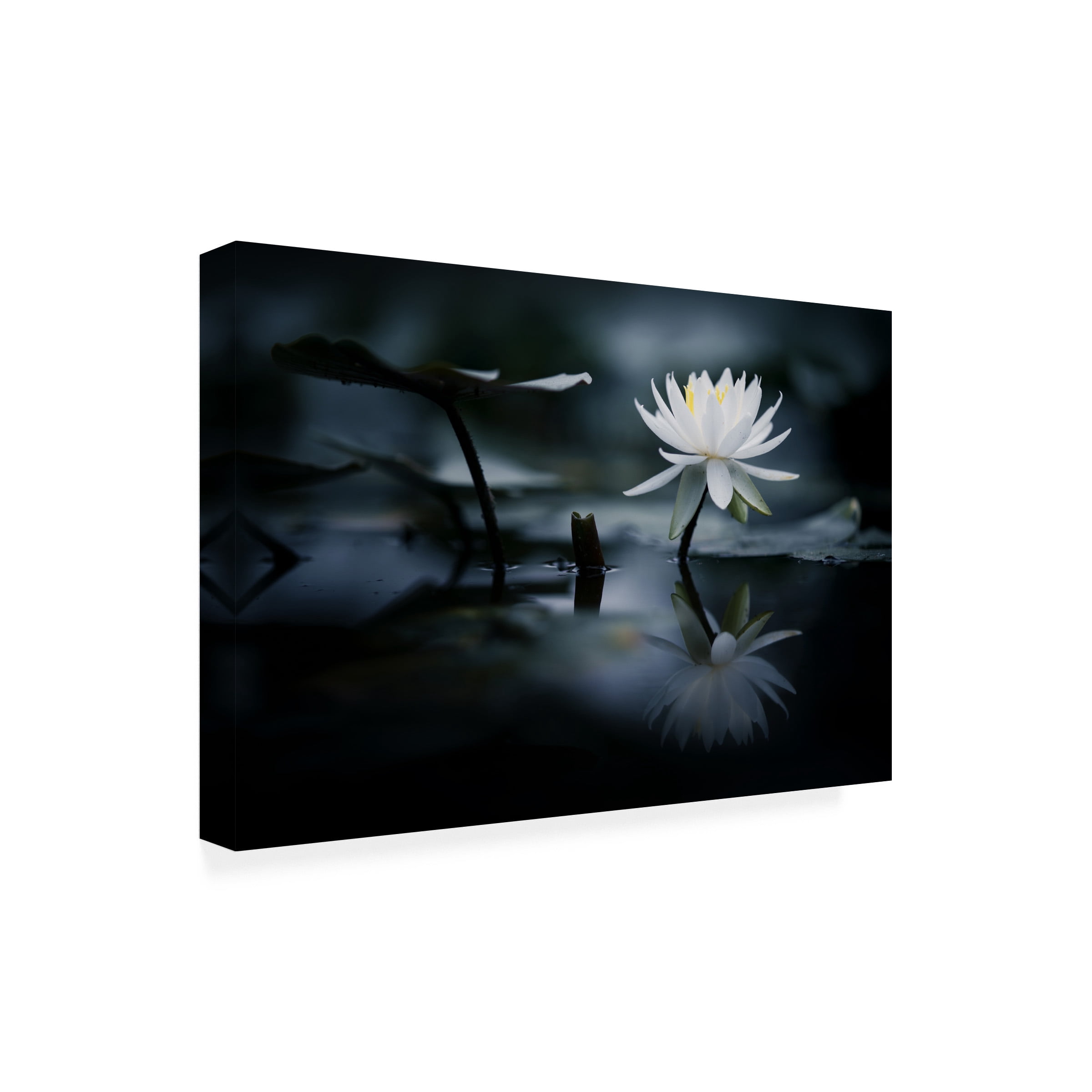 Takashi Suzuki 'Reflection' Canvas Art