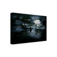 thumbnail image 2 of Takashi Suzuki 'Reflection' Canvas Art, 2 of 3