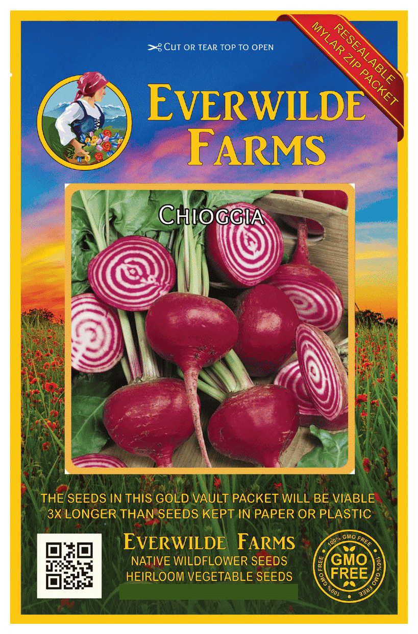 Everwilde Farms 200 Chioggia Beet Seeds Gold Vault Jumbo Bulk Seed Packet