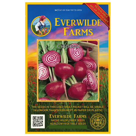 Everwilde Farms - 1000 Chioggia Beet Seeds - Gold Vault Jumbo Bulk Seed
