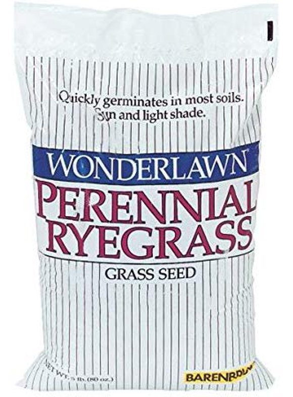 Ryegrass Seed in Grass Seed & Sod