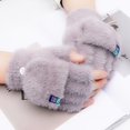thumbnail image 1 of Motorcycle Bicycle Riding Open Fingered Flip Gloves Keep Warm In Winter Plush Gloves Outdoor Gloves Thickened To Prevent ColdD517 He Qiyong unisex, 1 of 1