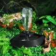 thumbnail image 4 of Miangastore POPETPOP Reptile Water Dish Automatic Feeder Dispenser for Tortoise Spider Lizard 2pcs Black, 4 of 8