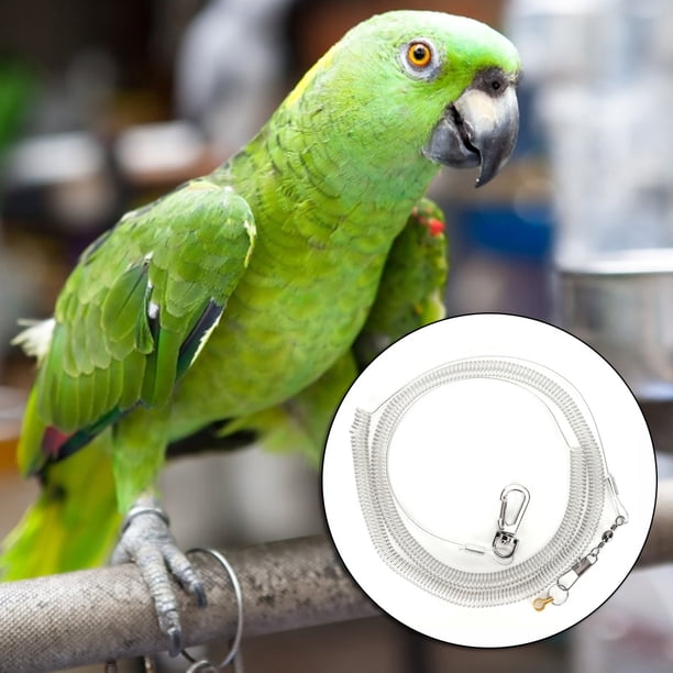 GLOGLOW Kits de Correas para pájaros, Cuerda de Entrenamiento de Vuelo antimordidas para Loros, Correa de arnés para pájaros, Cuerda de Entrenamiento para Vuelo al Aire Libre(8.5mm) Amonsee No