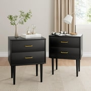 Semiocthome Nightstand Set of 2 with 2 Drawers,Bedside Table for Bedroom ,Adult ,Black