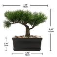 thumbnail image 2 of GnFlus 6 inch Artificial Bonsai Tree Juniper Faux Plants Indoor Small Fake Plants Decor with Ceramic Pots for Office Desk Table Home Decor, 2 of 7
