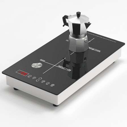 TYEMUI 12 Inch Dual Induction Cooktop, 2 Burner Electric Outdoor Stove, Built-In or Electric Portable Stove, Plug-in Outside Electric Stove with Timer & Child Lock, 120V Dual Zone Ceramic Glass Cookt