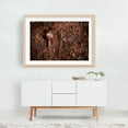 thumbnail image 5 of Trailblazer Snail - Photography Wildlife Nature Insect Forest Woodland Moody Rustic Oak Framed Wall Art Print 12 x 18 inches, 5 of 6