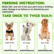 Oimmal 3-in-1 Liquid Probiotic for Dogs | Supports Digestive Health & Gut Comfort - 60ml (1 Pack)