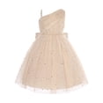 thumbnail image 3 of Alvivi Kids Sleeveless Chiffon Tulle Dress Flower Girls Wedding Pageant Bridesmaid Dress Birthday Party Champagne 130, 3 of 6