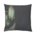 thumbnail image 2 of Ahgly Company Plants Cactus Indoor Throw Pillow, 18 inch by 18 inch, 2 of 6