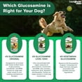 thumbnail image 7 of LIQUIDHEALTH Vegetarian Dog Glucosamine Joint Health Supplement Liquid Vitamin, 32 fl Oz, 7 of 7