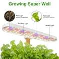 thumbnail image 3 of Linkstyle Hydroponics Growing System, Smart Herb Garden Kit Indoor, Indoor Garden, APP & WiFi Controlled, with Growing LED Light, Gardening Gifts, 3 of 11