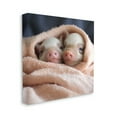thumbnail image 4 of Stupell Industries Cuddling Sleepy Piglets Animals & Insects Painting Gallery Wrapped Canvas Art Print Wall Art, 17 x 17, 4 of 8
