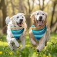 thumbnail image 3 of Dog Bandana 2 Pack,Dark Blue Marble Gold Line Pattern Bandanas for Dogs,Cat Bandana,Small/ Large Dog Bandana 2 Size,Dog Bandanas, 3 of 6
