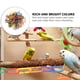thumbnail image 5 of 500 piezas de eslabones de cadena de plástico para masticar loros, accesorios de cadena para juguetes de pájaros, 5 of 8