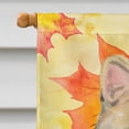 thumbnail image 3 of Carolines Treasures CK3073CHF American Shorthair Brown Tabby Fall Leaves Flag Canvas House Size  Large multicolor, 3 of 4