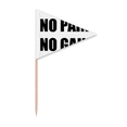 thumbnail image 1 of No Pain No Gain Quote Black Encourage Positive Toothpick Triangle Cupcake Toppers Flag, 1 of 3