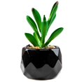 thumbnail image 1 of Artificial Succulent Plant Mini - Plastic Greenery Decoration Faux Potted Plant, 1 of 5
