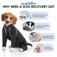 MORVIGIVE Dog Surgery Suit OIF8 Male Neuter Grey, Medium Dog