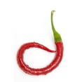 thumbnail image 2 of Posterazzi DPI1868957 A Red Jalapeno Pepper That Has Curled Poster Print, 12 x 19, 2 of 4