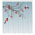 thumbnail image 3 of Ambesonne Rowan Shower Curtain, Bullfinch Birds Branches, 69"Wx84"L, Dark Brown Pale Blue, 3 of 3