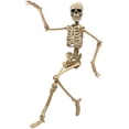 thumbnail image 3 of 16" Halloween Skeleton,Full Body Skeleton with Posable Movable Joints for Haunted House Props Decorations, 3 of 9
