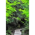 thumbnail image 2 of Erin Berzel 23x32 Gallery Wrapped Canvas Wall Art Titled - Afternoon Hike II, 2 of 4