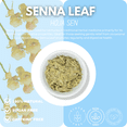 thumbnail image 4 of Green Royalty Senna Leaf Herbal Tea, 4 oz | Loose Leaf Herbal Infusion | Non-GMO | Makes 30+ Cups, 4 of 5
