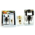 thumbnail image 1 of ED Speldy East PWC425 Scorpion Paperweight Collection - 2 Piece, 1 of 3