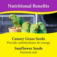 thumbnail image 4 of 3-D Pet Products Premium Cockatiel Mix Bird Food Seeds, with Probiotics, 9 lb. Bag, 4 of 11