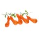thumbnail image 3 of 1 Manojo Artificiales Simulación de Alimentos Decoración Decoración Artesanal para Hogar - Calabaza larga Yotijar Vegetal artificial, 3 of 9