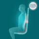 thumbnail image 5 of Asiento Masajeador Homedics Shiatsu Pro Plus con Calor y Doble Amasamiento, 5 of 6