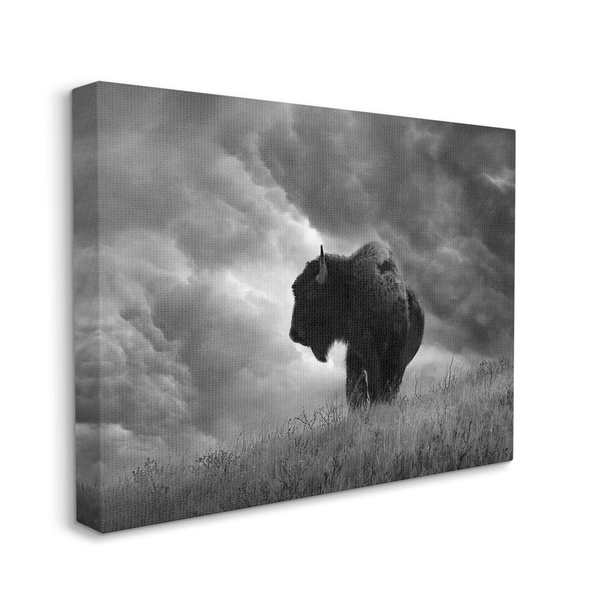 Stupell Industries Ox in Cloudy Landscape Animals & Insects Photography Gallery Wrapped Canvas Art Print Wall Art, 20 x 16