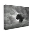 thumbnail image 4 of Stupell Industries Ox in Cloudy Landscape Animals & Insects Photography Gallery Wrapped Canvas Art Print Wall Art, 20 x 16, 4 of 8