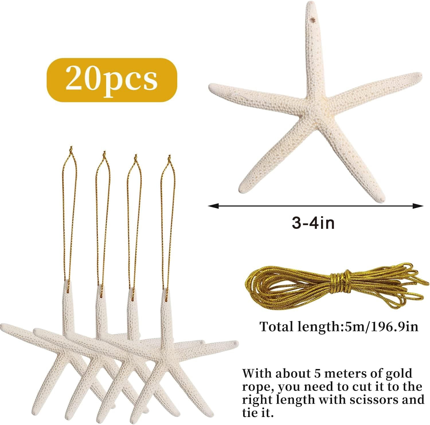 Sinkoo 20pcs Christmas Tree Ornaments, 3"-4" Seashell Starfish Christmas Ornaments for Crafts, Coastal Xmas Hanging Decor for Home Party Wedding