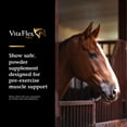 thumbnail image 3 of Vita Flex Vita Flex Pro Lactanase Performance Supplement for Horses 25 grams, 3 of 11