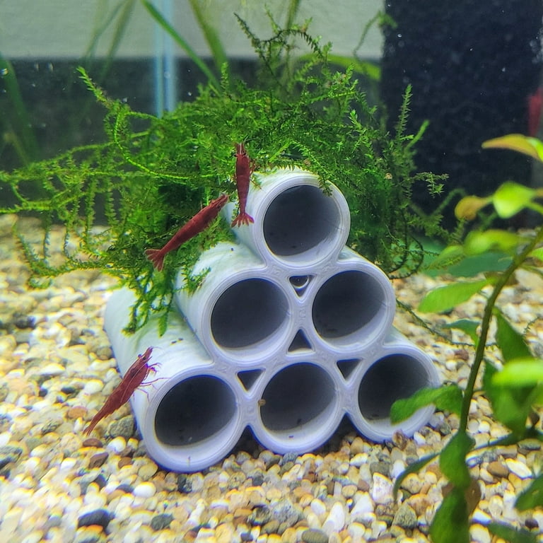 Aquarium Habitat Tubes 3D Printed Shrimp or Fish Hideout Small Breeding Cave Decor Durable PLA Plastic Set of 3 - Walmart.com Aquarium Habitat Tubes 3D Printed Shrimp or Fish Hideout Small Breeding Cave Decor Durable PLA Plastic Set of 3 - Walmart.com