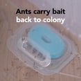 thumbnail image 4 of Raid Max Liquid Ant Killer Baits and Trap, Child Resistant, 8 Count, 4 of 9