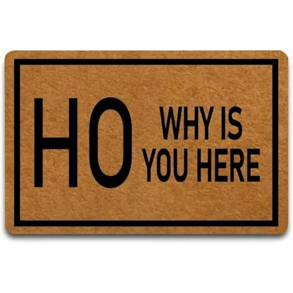 Doormat Ho Why is You Here Indoor Outdoor with Backing Rug Non Slip Door Mat Entry Front Floor Mat Funny Home Decor Gift 16x24 Inch.