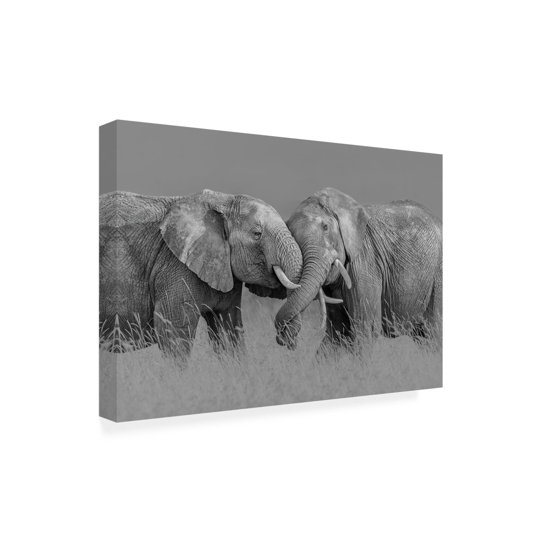 Trademark Fine Art Jun Zuo Elephant Flight Canvas Wall Art