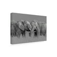 thumbnail image 2 of Trademark Fine Art Jun Zuo Elephant Flight Canvas Wall Art, 2 of 4
