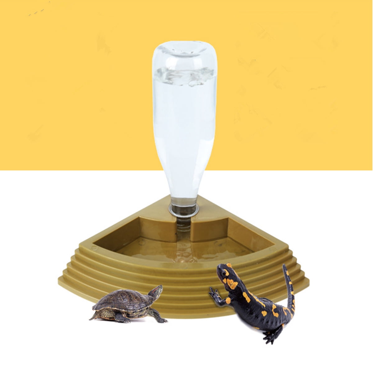 automatic tortoise feeder