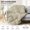 01 Beige, variant on Soft Feather Down Throw Blanket Lightweight & Packable, Cozy Couch Blanket 50"x70", Beige for Indoor Outdoor Use