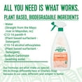 thumbnail image 5 of Charlie's Soap, Kitchen and Bath Household Cleaner, Non-Toxic, Multi-Surface Use, 32 oz -1 Pack, 5 of 9