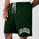 thumbnail image 2 of Mens Casual Shorts Lace-Up Elástico Cintura Bolsillo Ejercicio Fitness Hogar Pantalones de Media Longitud para Diario, 2 of 5
