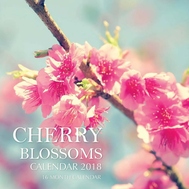 Cherry Blossoms Calendar 2018 16 Month Calendar (Paperback) Walmart