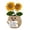 A003- Style C, variant on Teacher Appreciation Decorations Sunflower Desk Decor Small Plant Pot Gift for Teacher Office Desk Decor Cute Table Top Decor Mothers Day Gift