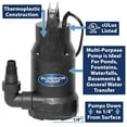 thumbnail image 3 of Superior Pump 91359 1/3 HP Side-Discharge Thermoplastic Utility Pump, Oil Free, 3 of 3